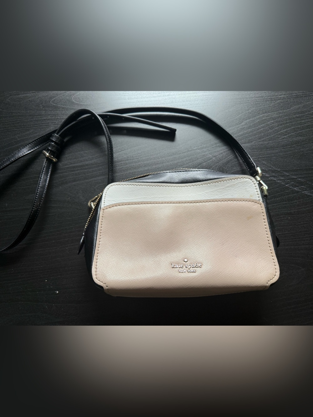 Kate Spade Lauryn Colorblock Camera Bag